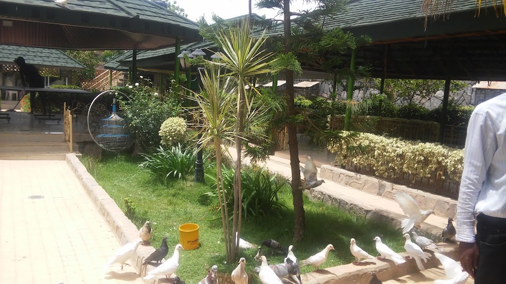 Barnawa Paradise Park photo 2